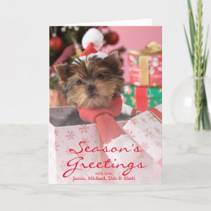 Cartes Pour Fêtes Annuelles Chiot et Noël 2 de Yorkshire Terrier