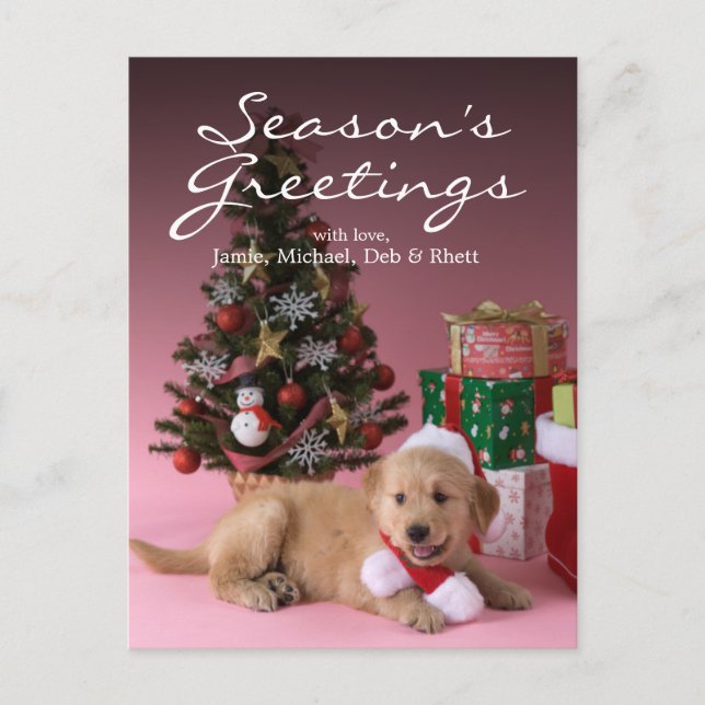 Cartes Pour Fêtes Annuelles Chiot et Noël 3 de golden retriever (Devant)
