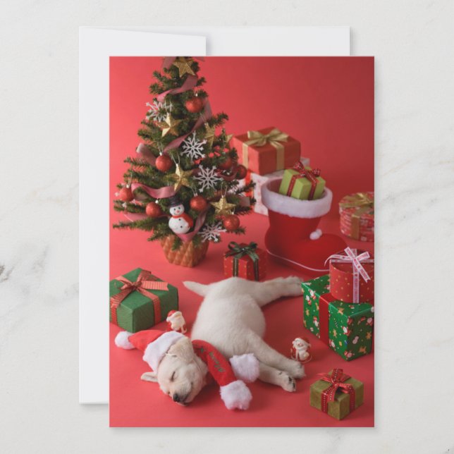 Cartes Pour Fêtes Annuelles Chiot et Noël de golden retriever (Devant)
