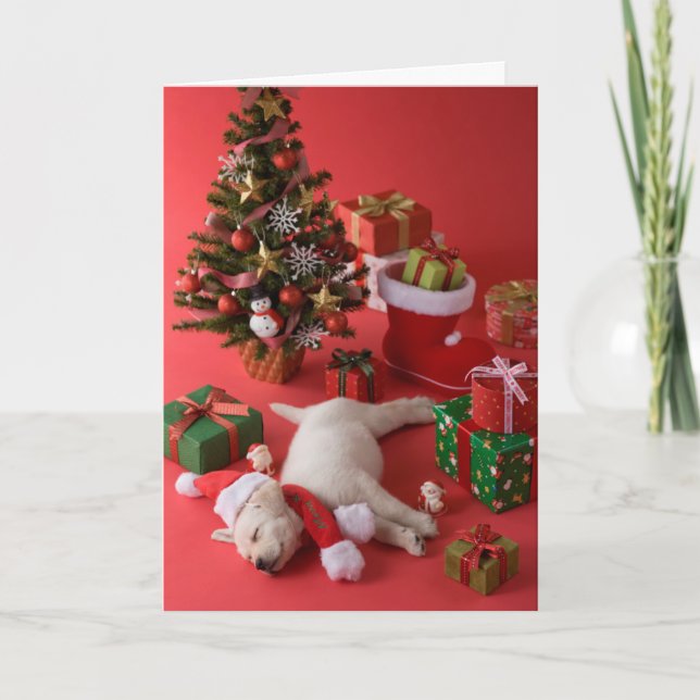 Cartes Pour Fêtes Annuelles Chiot et Noël de golden retriever (Devant)