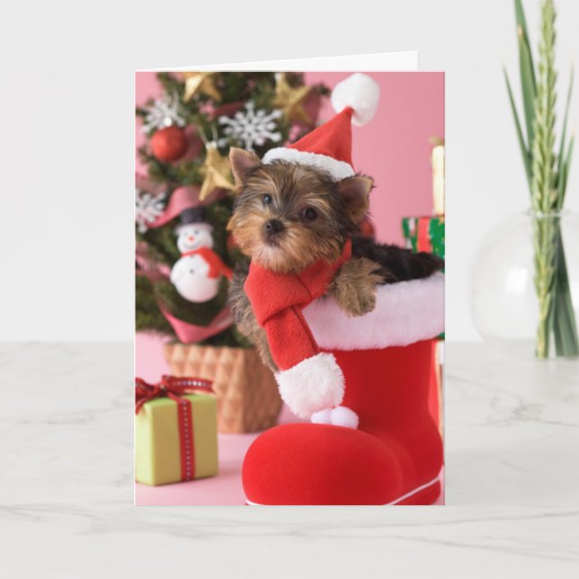 Cartes Pour Fêtes Annuelles Chiot et Noël de Yorkshire Terrier (Devant)
