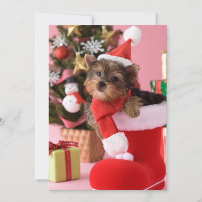 Cartes Pour Fêtes Annuelles Chiot et Noël de Yorkshire Terrier (Devant)