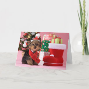 Cartes Pour Fêtes Annuelles Chiot et Noël de Yorkshire Terrier
