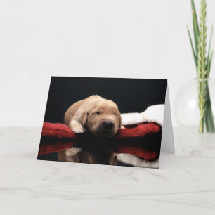 Cartes Pour Fêtes Annuelles Chiot et stockage en or