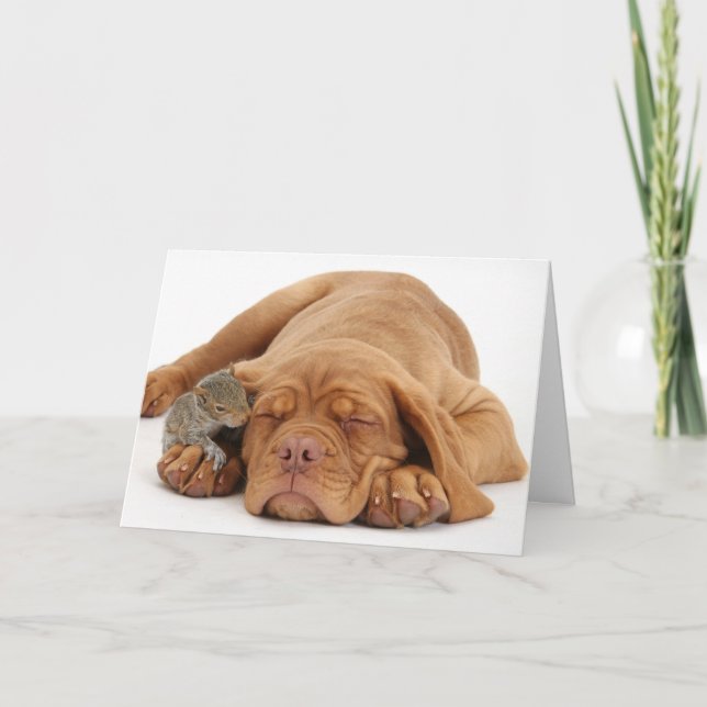 Cartes Pour Fêtes Annuelles Chiot français de mastiff avec l'écureuil (Devant)