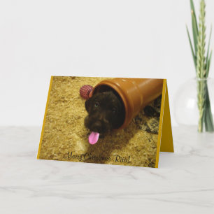 Cartes Pour Fêtes Annuelles Chiot joueur