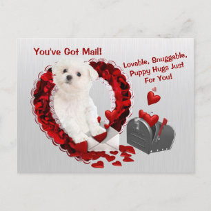 Cartes Pour Fêtes Annuelles Chiot maltais vous avez des étreintes Valentine de