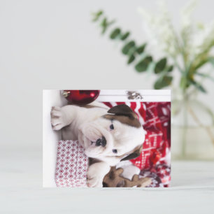 Cartes Pour Fêtes Annuelles Chiot mignon Bouledogue Anglais Noël drôle