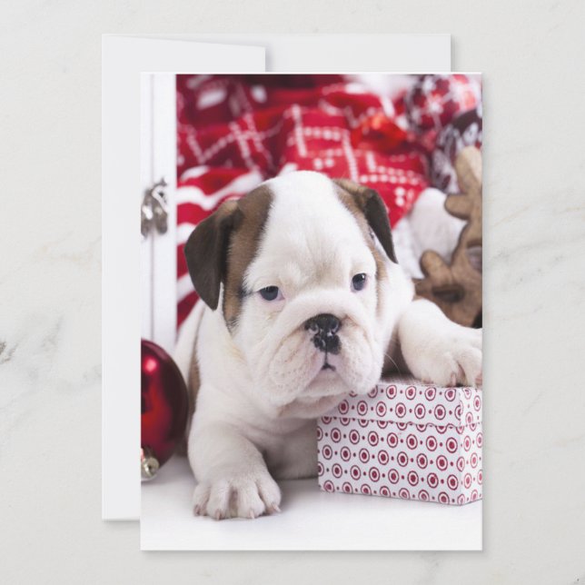 Cartes Pour Fêtes Annuelles Chiot mignon Bouledogue Anglais | Noël drôle (Devant)