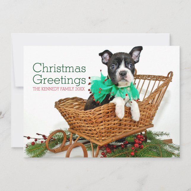 Cartes Pour Fêtes Annuelles Chiot mignon de Boston Terrier de Noël (Devant)
