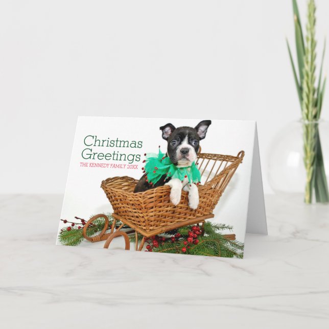Cartes Pour Fêtes Annuelles Chiot mignon de Boston Terrier de Noël (Devant)