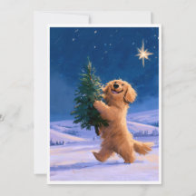 Chiot mignon drôle avec un arbre de Noël festif