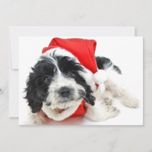 Cartes Pour Fêtes Annuelles Chiot noir et blanc utilisant l'équipement de Père