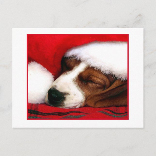 Cartes Pour Fêtes Annuelles Chiot paisible (Devant)