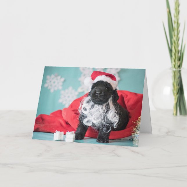 Cartes Pour Fêtes Annuelles Chiot Père Noël de Noël (Devant)