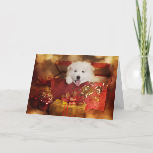 Cartes Pour Fêtes Annuelles Chiot Samoyé Dans Une Boîte De Noël