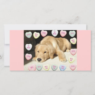 Cartes Pour Fêtes Annuelles Chiot Valentine Golden Retriever
