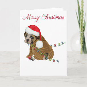 Cartes Pour Fêtes Annuelles Chiots Bouledogue Anglais Noël