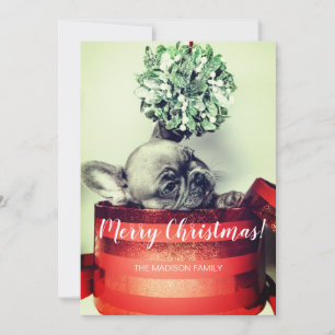 Cartes Pour Fêtes Annuelles Chiots Bouledogue Français dans une boîte-cadeau a