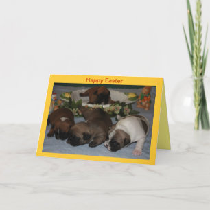 Cartes Pour Fêtes Annuelles Chiots Bouledogues Français de Pâques Bouledogue F