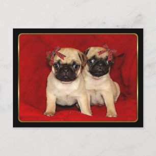 Cartes Pour Fêtes Annuelles Chiots carlins de Noël