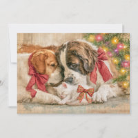 Chiots Chien Chatons Amour Noël