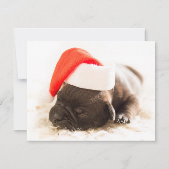 Cartes Pour Fêtes Annuelles Chiots de Noël (Devant)