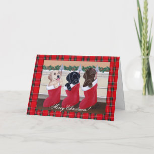 Cartes Pour Fêtes Annuelles Chiots de Noël Labrador