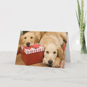 Cartes Pour Fêtes Annuelles Chiots de repérage d'or avec cadeau de noël