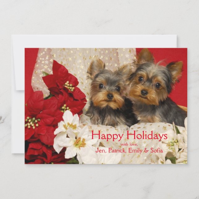 Cartes Pour Fêtes Annuelles Chiots de Yorkie avec des poinsettias (Devant)