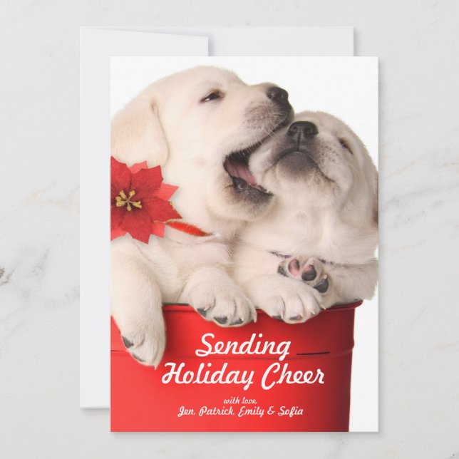 Cartes Pour Fêtes Annuelles Chiots espiègles de Noël dans un récipient rouge (Devant)