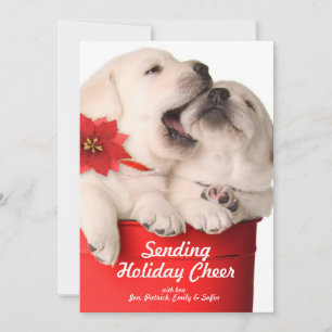 Cartes Pour Fêtes Annuelles Chiots espiègles de Noël dans un récipient rouge