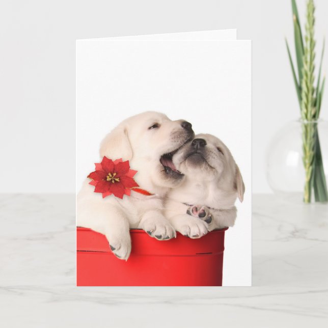 Cartes Pour Fêtes Annuelles Chiots espiègles de Noël dans un récipient rouge (Devant)