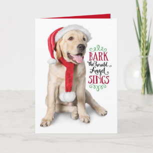 Cartes Pour Fêtes Annuelles Chiots Labrador jaune avec chapeau de Père Noël - 
