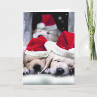 Cartes Pour Fêtes Annuelles Chiots labrador mignons avec des casquettes x-mas