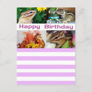 Cartes Pour Fêtes Annuelles Chipmunk, Anniversaire, Fête, Noël (photo)