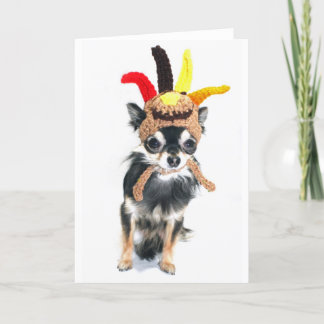 Cartes Pour Fêtes Annuelles Chiwawa de la Turquie de thanksgiving
