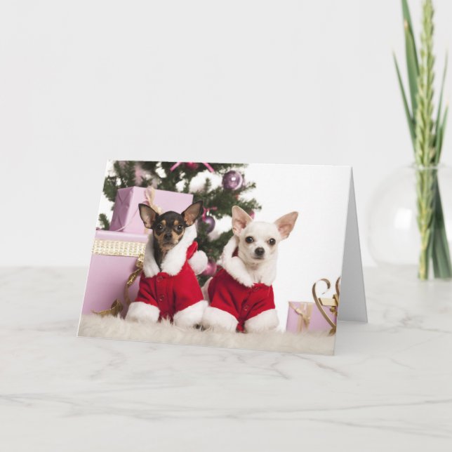 Cartes Pour Fêtes Annuelles Chiwawa reposant et portant un costume de Noël (Devant)