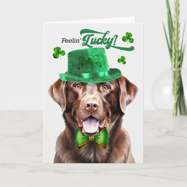 Cartes Pour Fêtes Annuelles Chocolat Lab Chien Feelin' Lucky St Patrick's Day (Devant)