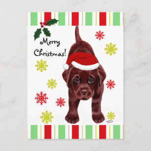 Cartes Pour Fêtes Annuelles Chocolat Labrador Chiot et Santa Hat Noël