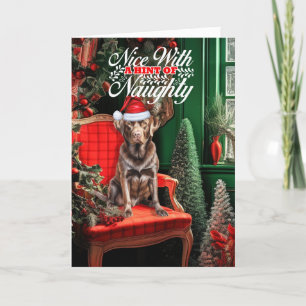 Cartes Pour Fêtes Annuelles Chocolat Labrador Christmas Chien Naughty ou Nice