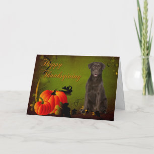 Cartes Pour Fêtes Annuelles Chocolate Lab Thanksgiving Card