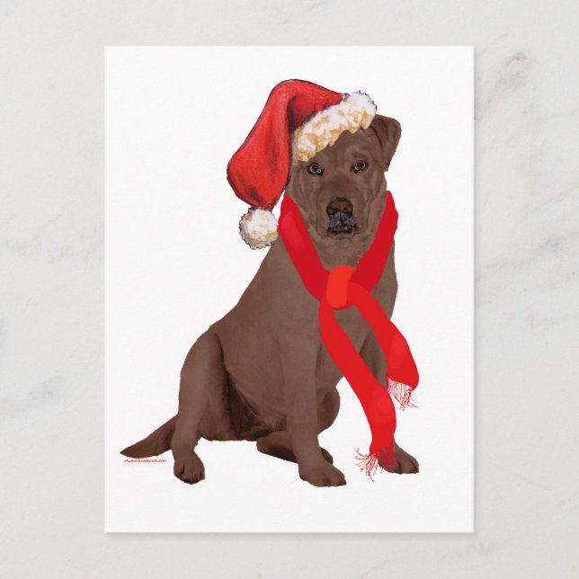 Cartes Pour Fêtes Annuelles Chocolate Labrador (Devant)