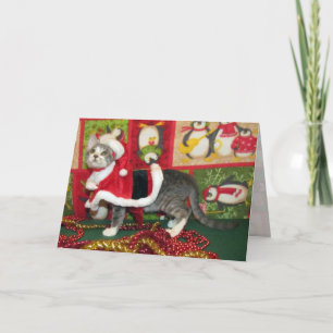 Cartes Pour Fêtes Annuelles Chop de porc en Père Noël Claws - Chat / Kitten No