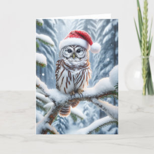 CARTES POUR FÊTES ANNUELLES CHOUETTE BARREÉE DE NOËL - FAUNE ET FLORE SAUVAGE