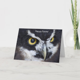 Cartes Pour Fêtes Annuelles Chouette blanche et noire Pâques