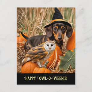 Cartes Pour Fêtes Annuelles Chouette Dachshund Joyeux Halloween