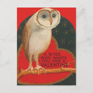 Cartes Pour Fêtes Annuelles Chouette effraie cœur arbre étoiles Saint-Valentin