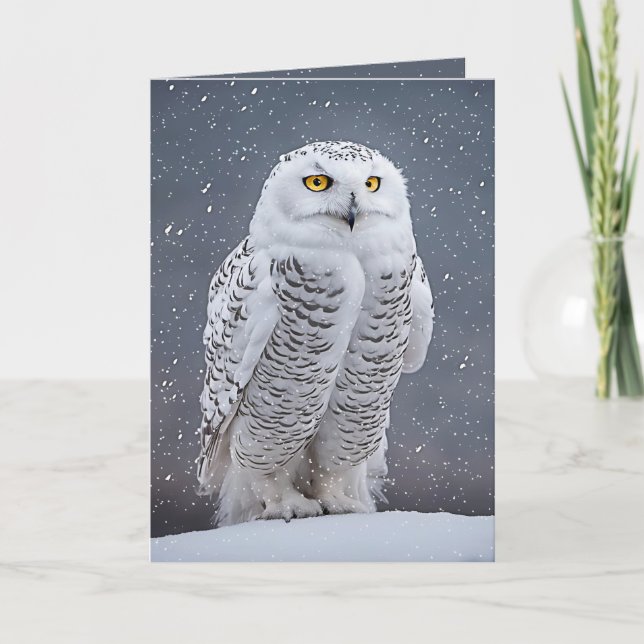 Cartes Pour Fêtes Annuelles Chouette neige de Noël (Devant)