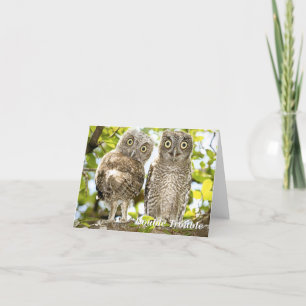 Cartes Pour Fêtes Annuelles Chouettes à cris chèvres chicks chicks